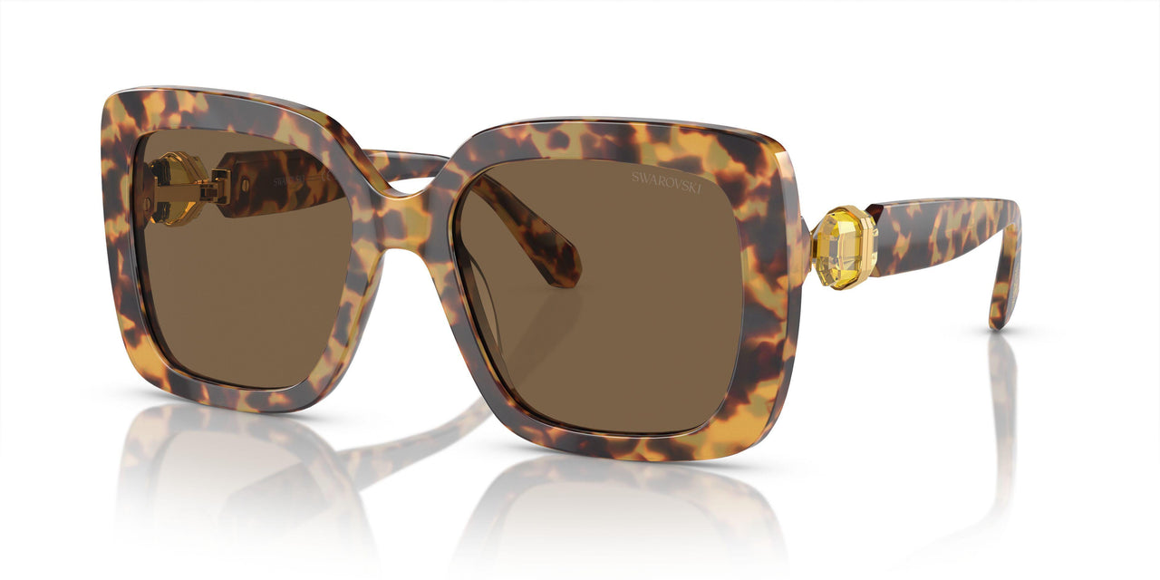 104073 - Tortoise - Dark Brown
