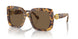 104073 - Tortoise - Dark Brown