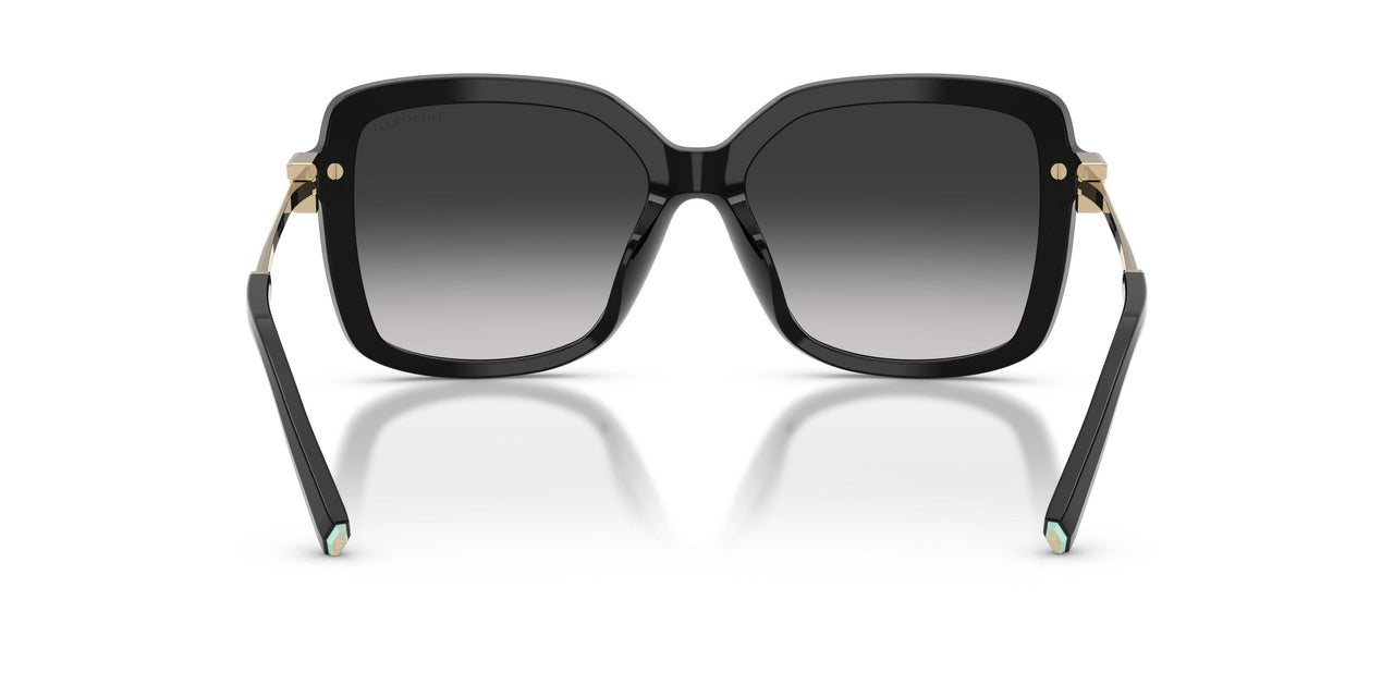 80013C - Black - Grey Gradient
