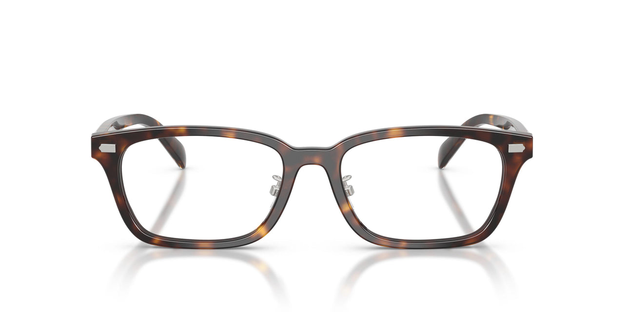 5120 - Tortoise