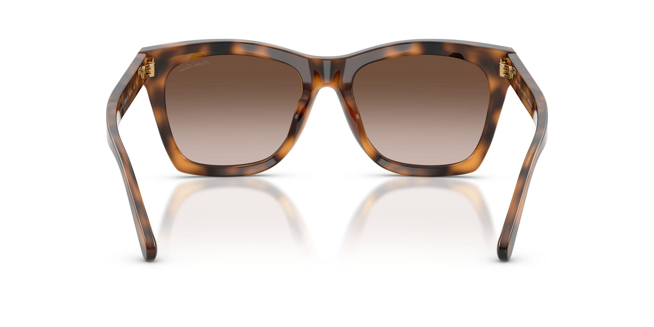 608913 - Tortoise - Gradient Brown