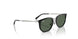 100/71 - Black - Dark Green