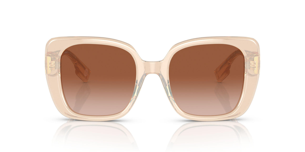 406013 - Pink - Brown Gradient