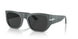 117348 - Grey - Polar Black
