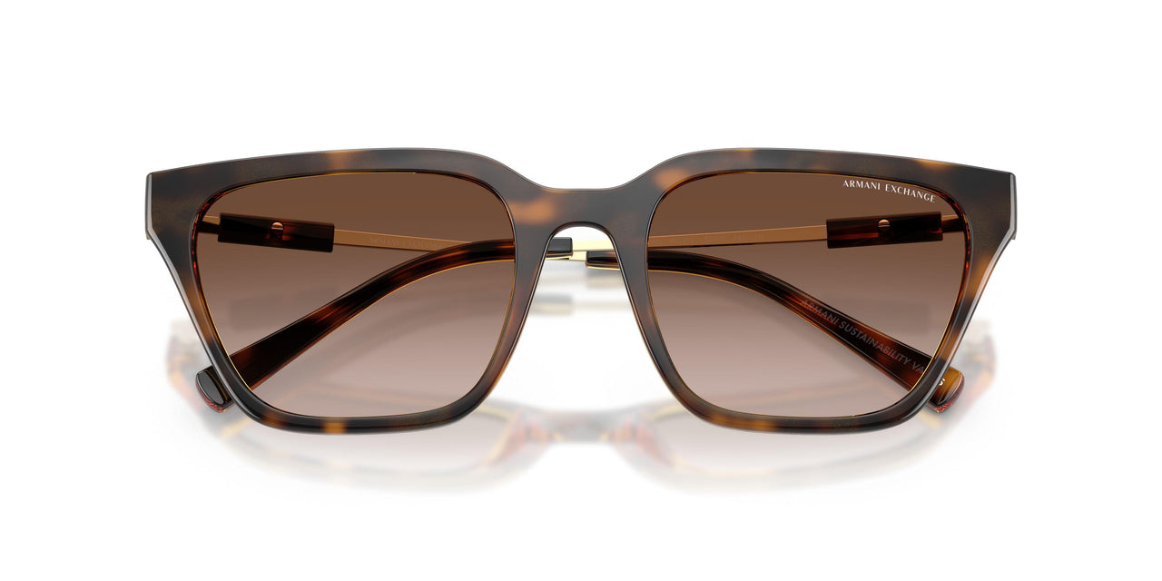 821313 - Tortoise - Gradient Brown