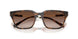 821313 - Tortoise - Gradient Brown