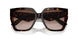 502/13 - Tortoise - Gradient Brown