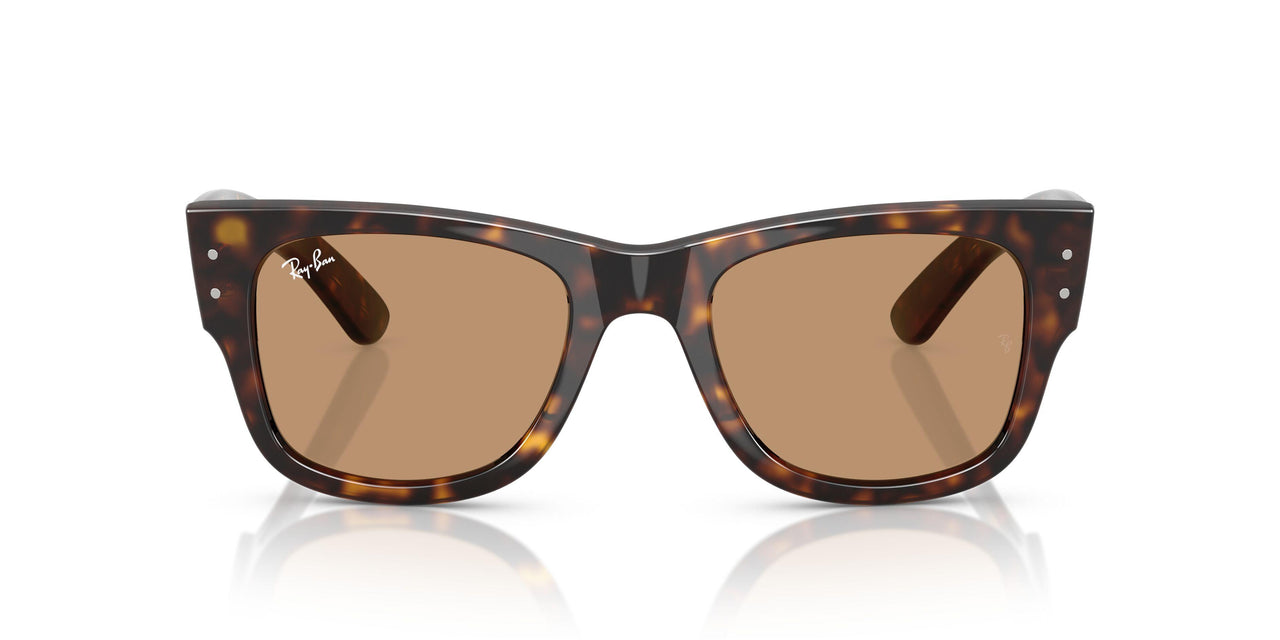 902/53 - Tortoise - Brown