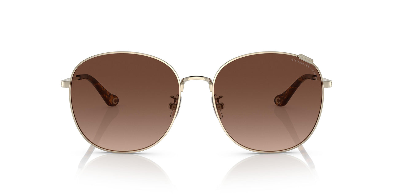 9005T5 - Gold - Brown Gradient Polar