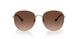 9005T5 - Gold - Brown Gradient Polar