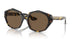 140783 - Tortoise - Brown