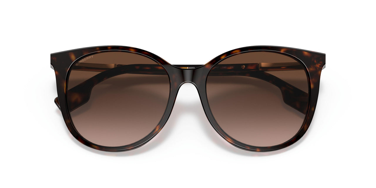300213 - Havana - Brown Gradient