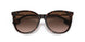 300213 - Havana - Brown Gradient