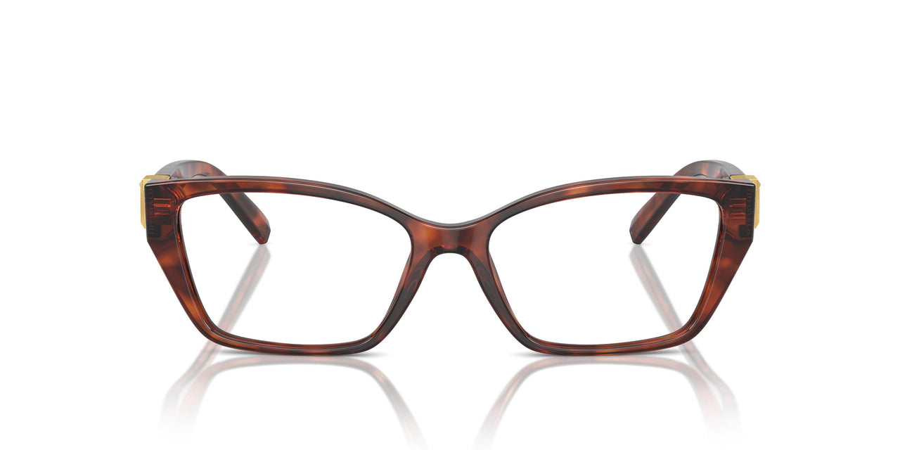 8002 - Tortoise