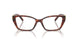 8002 - Tortoise