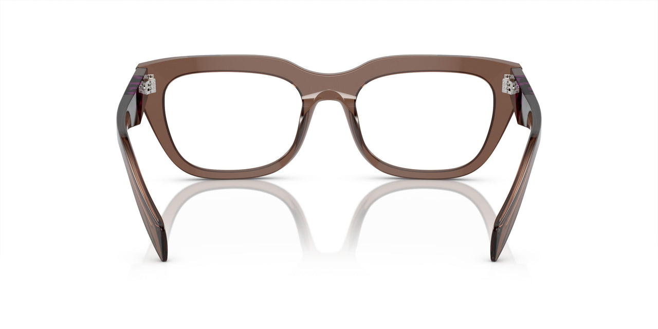 17O1O1 - Brown