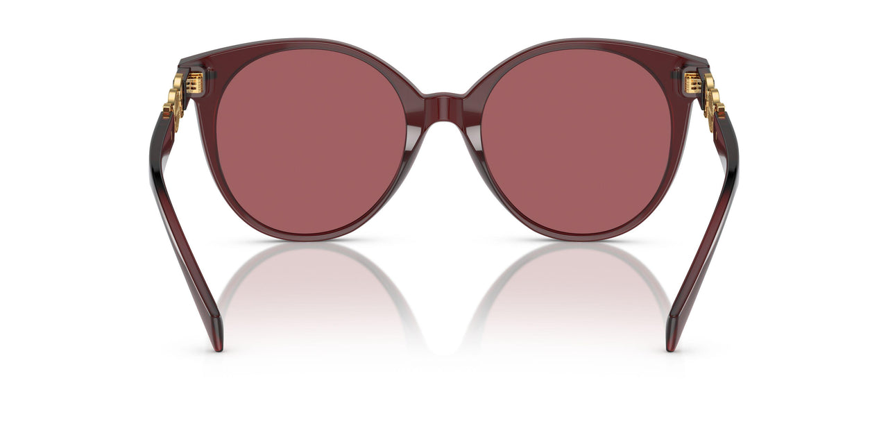 541069 - Red - Dark Violet