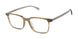 Cruz WILBUR AVE Eyeglasses