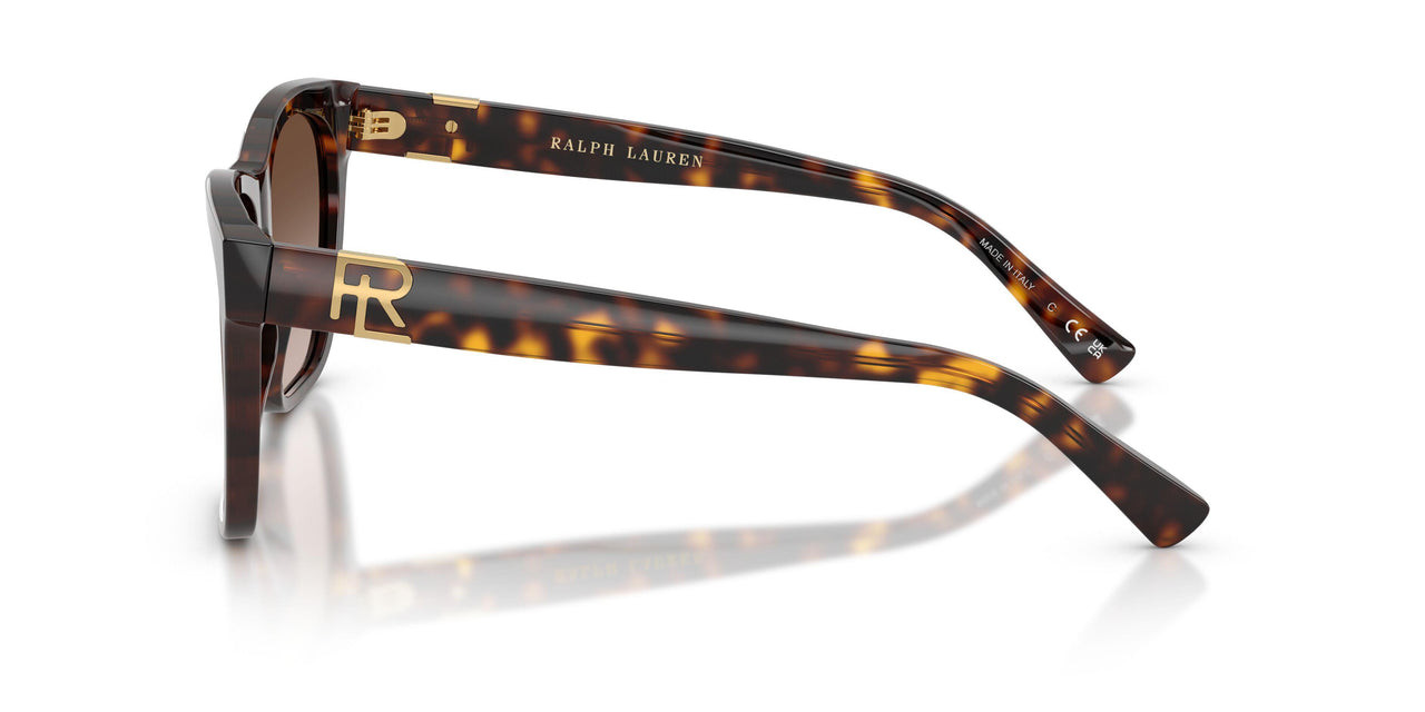500313 - Tortoise - Gradient Brown