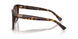 500313 - Tortoise - Gradient Brown