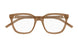 009 - Brown - Transparent