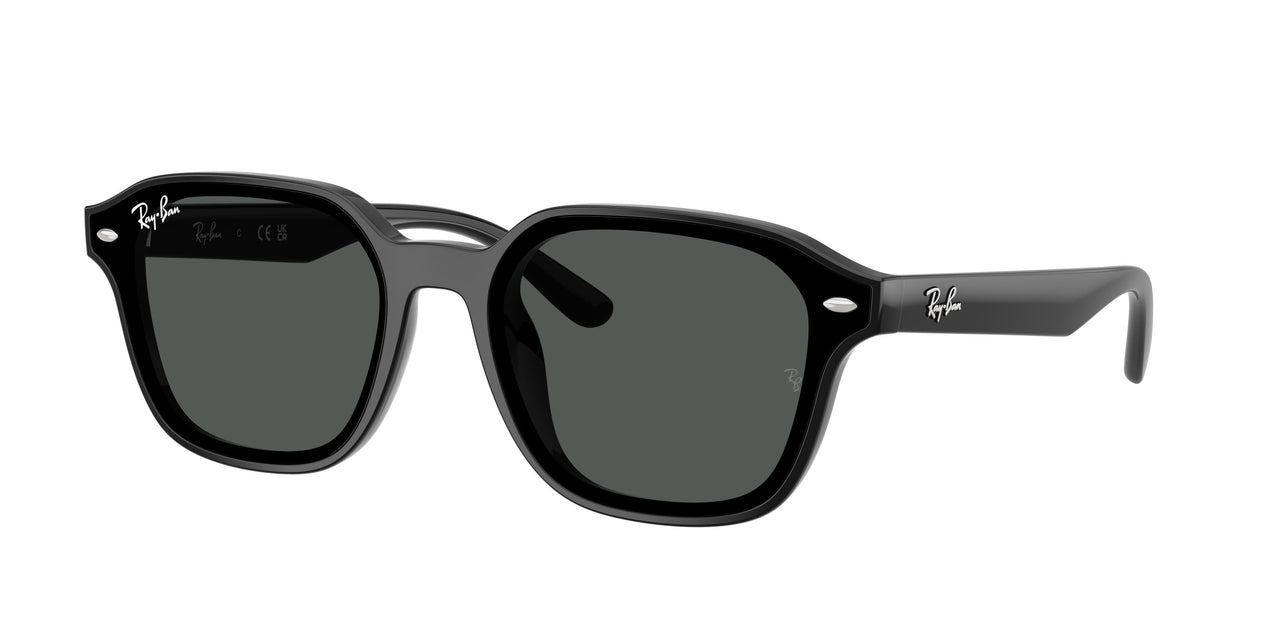 Ray-Ban 4458D Sunglasses