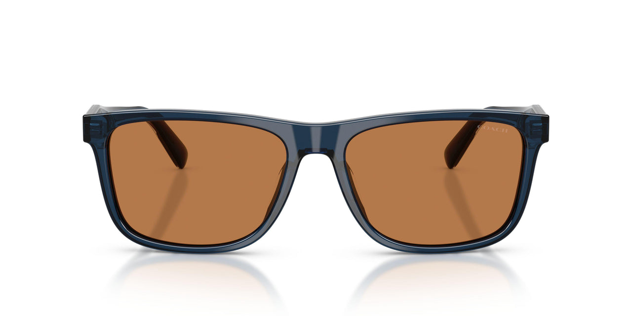 575773 - Blue - Amber Solid