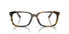 51203 - Tortoise - Brown Solid