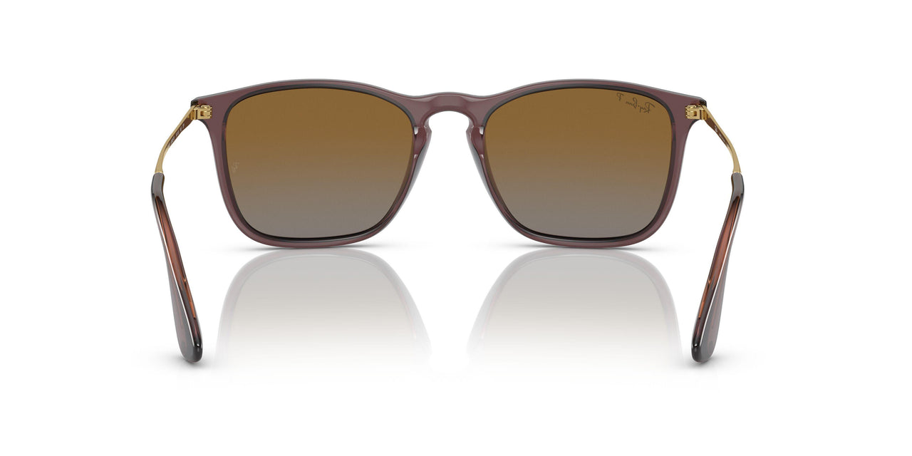 6593T5 - Brown - Grey Gradient Brown Polar