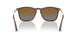 6593T5 - Brown - Grey Gradient Brown Polar