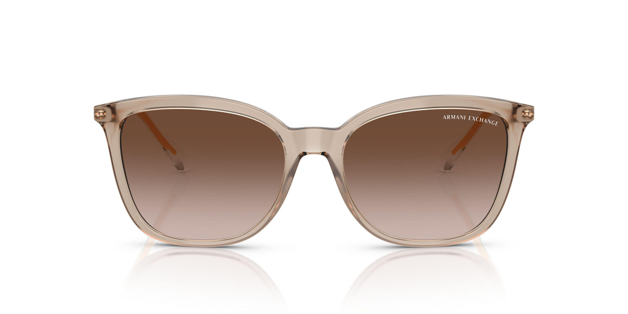 836613 - Brown - Gradient Brown