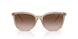 836613 - Brown - Gradient Brown