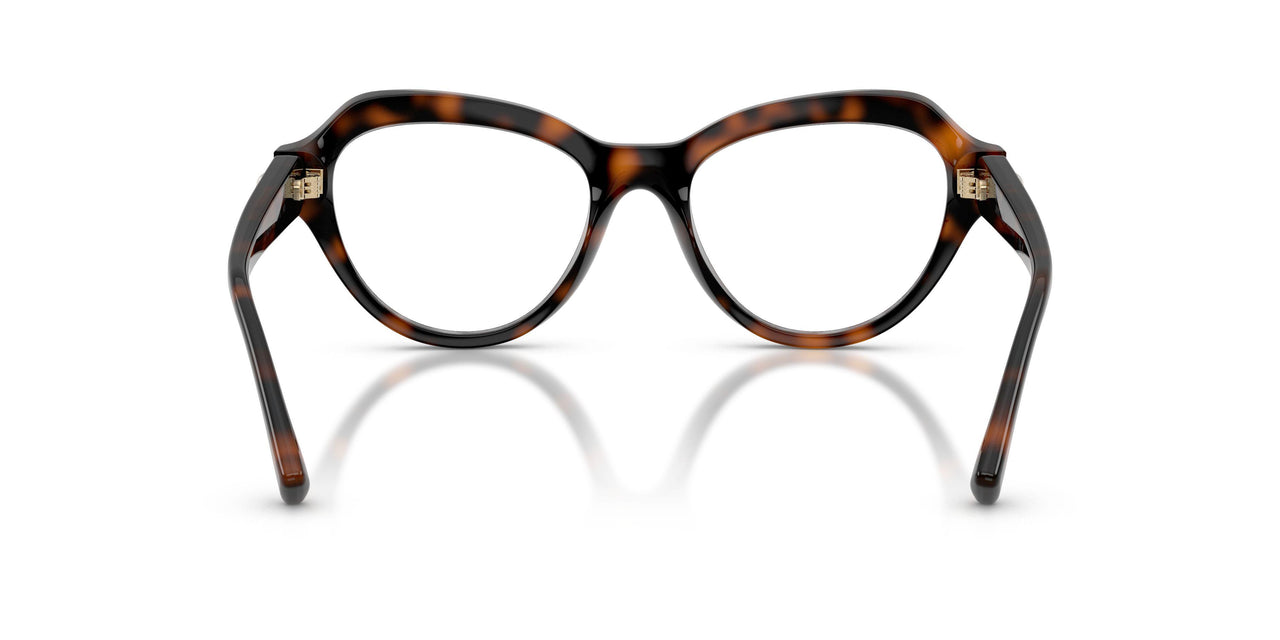 5002 - Tortoise