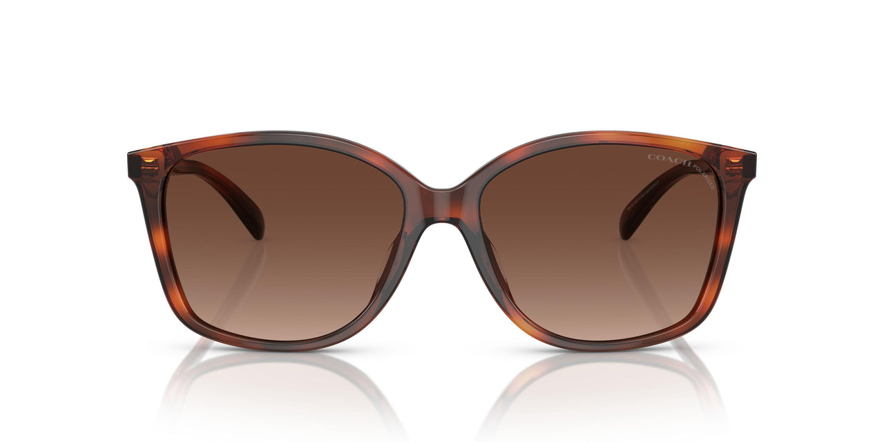 5741T5 - Tortoise - Brown Gradient Polarized