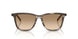 26O20S - Black - Yellow Gradient Brown