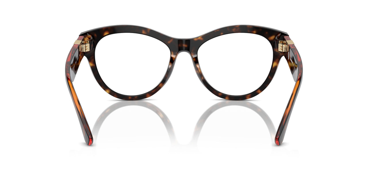 3002 - Brown