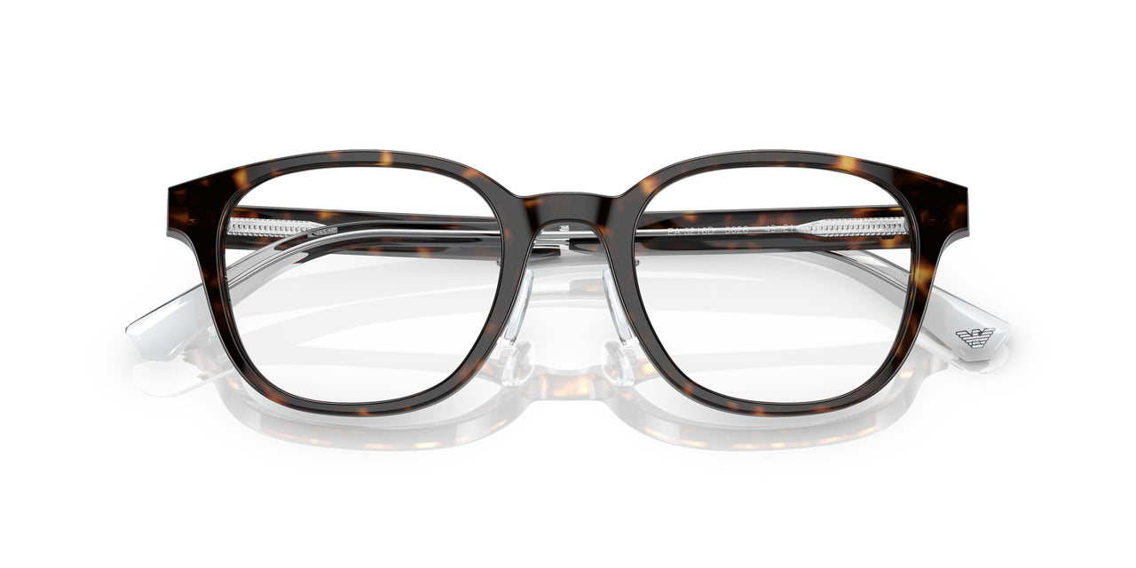 5026 - Tortoise