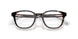 5026 - Tortoise