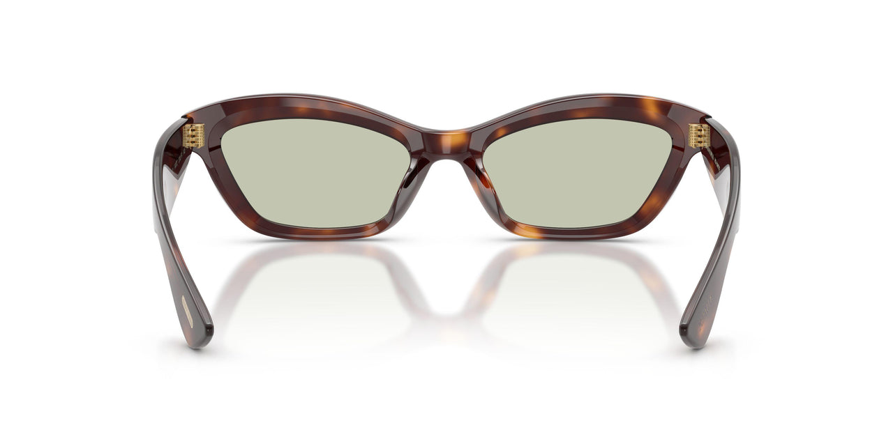 10072 - Tortoise - Green Wash