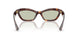 10072 - Tortoise - Green Wash
