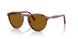 115733 - Multi - Brown