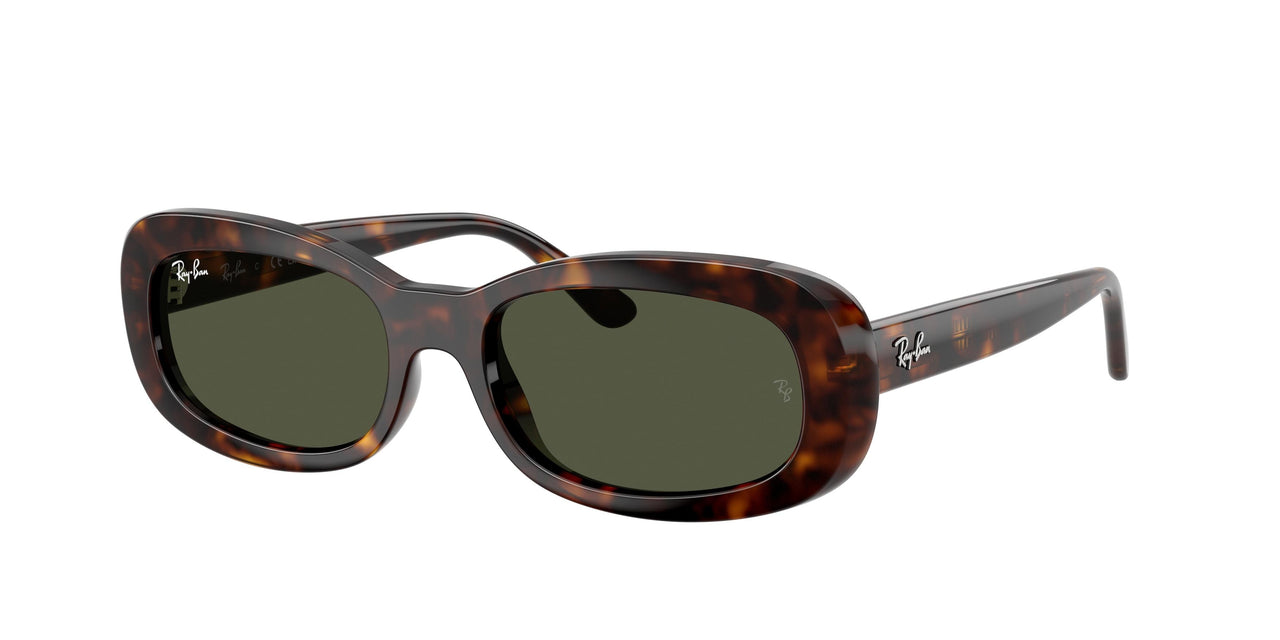 Ray-Ban 2221 Sunglasses