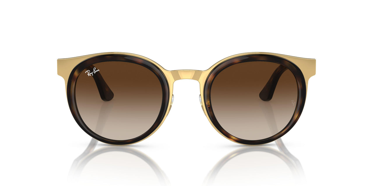 001/13 - Tortoise - Brown