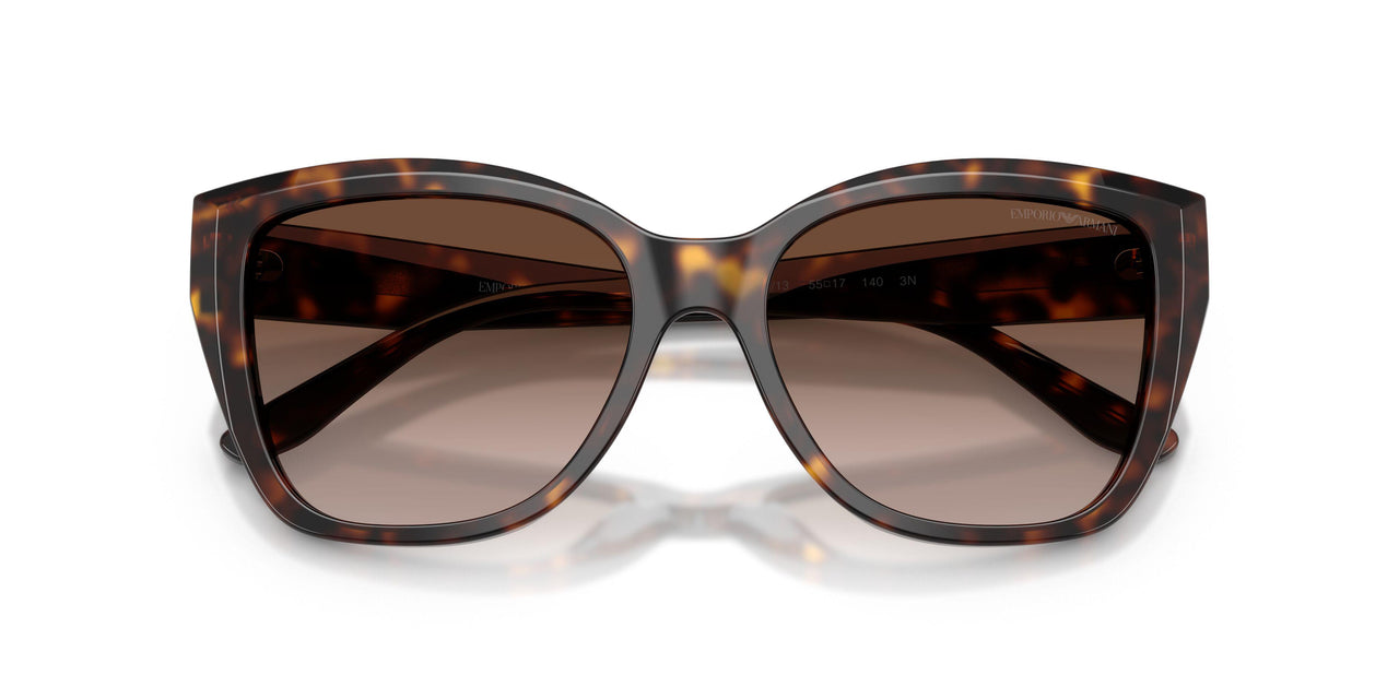 502613 - Tortoise - Brown Gradient
