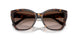 502613 - Tortoise - Brown Gradient