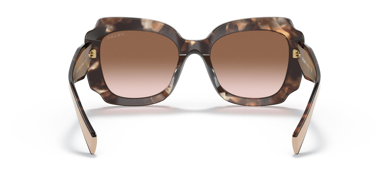 01R0A6 - Havana - Brown Gradient