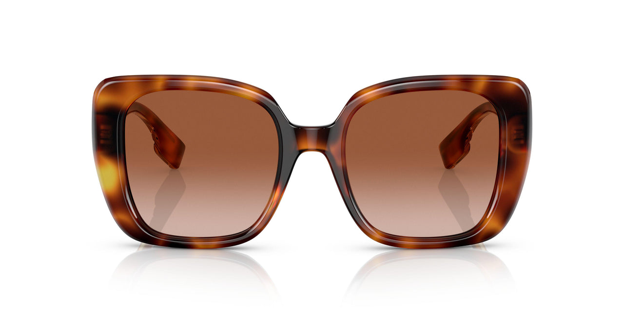 331613 - Havana - Brown Gradient