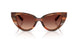 322113 - Tortoise - Gradient Brown