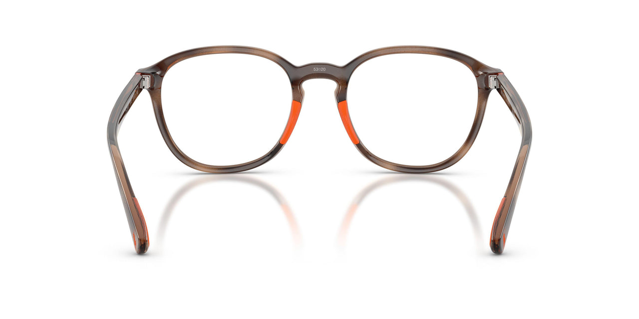 5974 - Tortoise