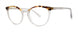 Seraphin CLIFTON Eyeglasses